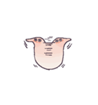キナリチャン（個別スタンプ：24）