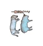 【日常使える】ダックスフンド（個別スタンプ：30）