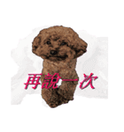 Is non-mainstream（個別スタンプ：5）