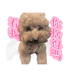 Is non-mainstream（個別スタンプ：7）