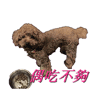 Is non-mainstream（個別スタンプ：9）