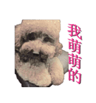 Is non-mainstream（個別スタンプ：10）