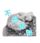 Is non-mainstream（個別スタンプ：13）
