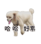 Is non-mainstream（個別スタンプ：14）