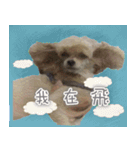Is non-mainstream（個別スタンプ：16）