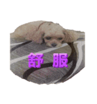 Is non-mainstream（個別スタンプ：20）