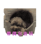 Is non-mainstream（個別スタンプ：23）