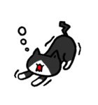 ねこぞうスタンプ（個別スタンプ：13）