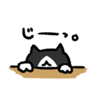 ねこぞうスタンプ（個別スタンプ：25）