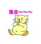 メタボネコ（個別スタンプ：12）