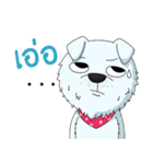Omo white dog（個別スタンプ：8）