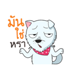 Omo white dog（個別スタンプ：11）