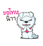 Omo white dog（個別スタンプ：19）