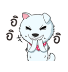 Omo white dog（個別スタンプ：20）