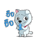 Omo white dog（個別スタンプ：25）