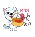 Omo white dog（個別スタンプ：31）