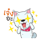 Omo white dog（個別スタンプ：33）