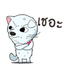 Omo white dog（個別スタンプ：34）
