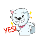 Omo white dog（個別スタンプ：38）