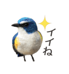リアルな羊毛フェルトの野鳥たち（個別スタンプ：1）