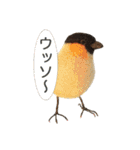 リアルな羊毛フェルトの野鳥たち（個別スタンプ：23）