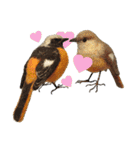リアルな羊毛フェルトの野鳥たち（個別スタンプ：26）