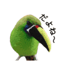 リアルな羊毛フェルトの野鳥たち（個別スタンプ：27）