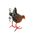 リアルな羊毛フェルトの野鳥たち（個別スタンプ：35）