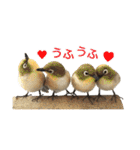 リアルな羊毛フェルトの野鳥たち（個別スタンプ：38）