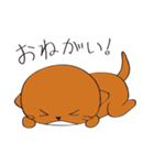 かわうそスタンプ（個別スタンプ：19）