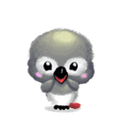 GentleParrots (African Grey)（個別スタンプ：1）