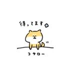 柴犬コタロー（個別スタンプ：25）
