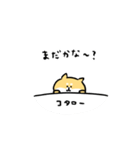 柴犬コタロー（個別スタンプ：26）