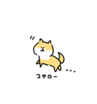 柴犬コタロー（個別スタンプ：40）