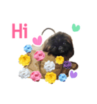 Muntow PaoPao（個別スタンプ：3）