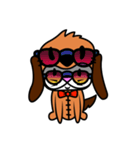 i am dog not cat（個別スタンプ：6）