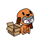 i am dog not cat（個別スタンプ：14）