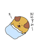 まるねこちゃんとまるいぬくん（個別スタンプ：12）