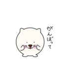 まるねこちゃんとまるいぬくん（個別スタンプ：13）