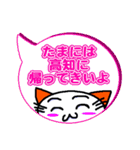 吹き出し土佐弁スタンプwithネコ（個別スタンプ：40）