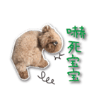 Baby brother to grow up（個別スタンプ：1）