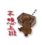 Baby brother to grow up（個別スタンプ：3）