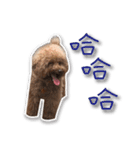 Baby brother to grow up（個別スタンプ：4）
