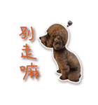 Baby brother to grow up（個別スタンプ：6）