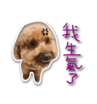 Baby brother to grow up（個別スタンプ：7）