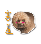 Baby brother to grow up（個別スタンプ：8）