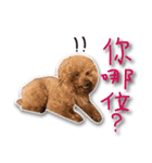 Baby brother to grow up（個別スタンプ：9）