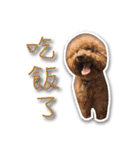 Baby brother to grow up（個別スタンプ：10）