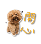 Baby brother to grow up（個別スタンプ：11）