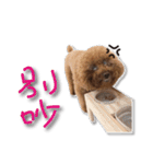 Baby brother to grow up（個別スタンプ：13）